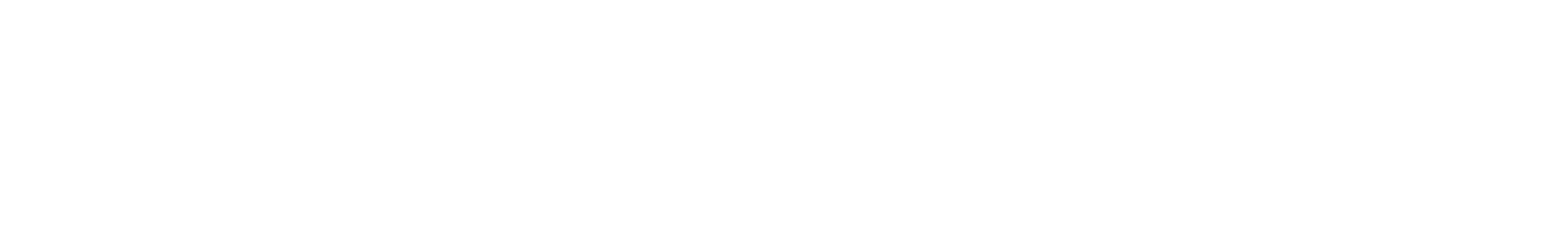 Datecs