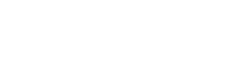 Verifone