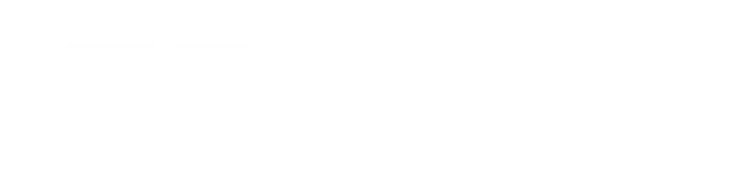 Datecs